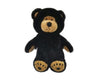 Little Buddy Black Bear